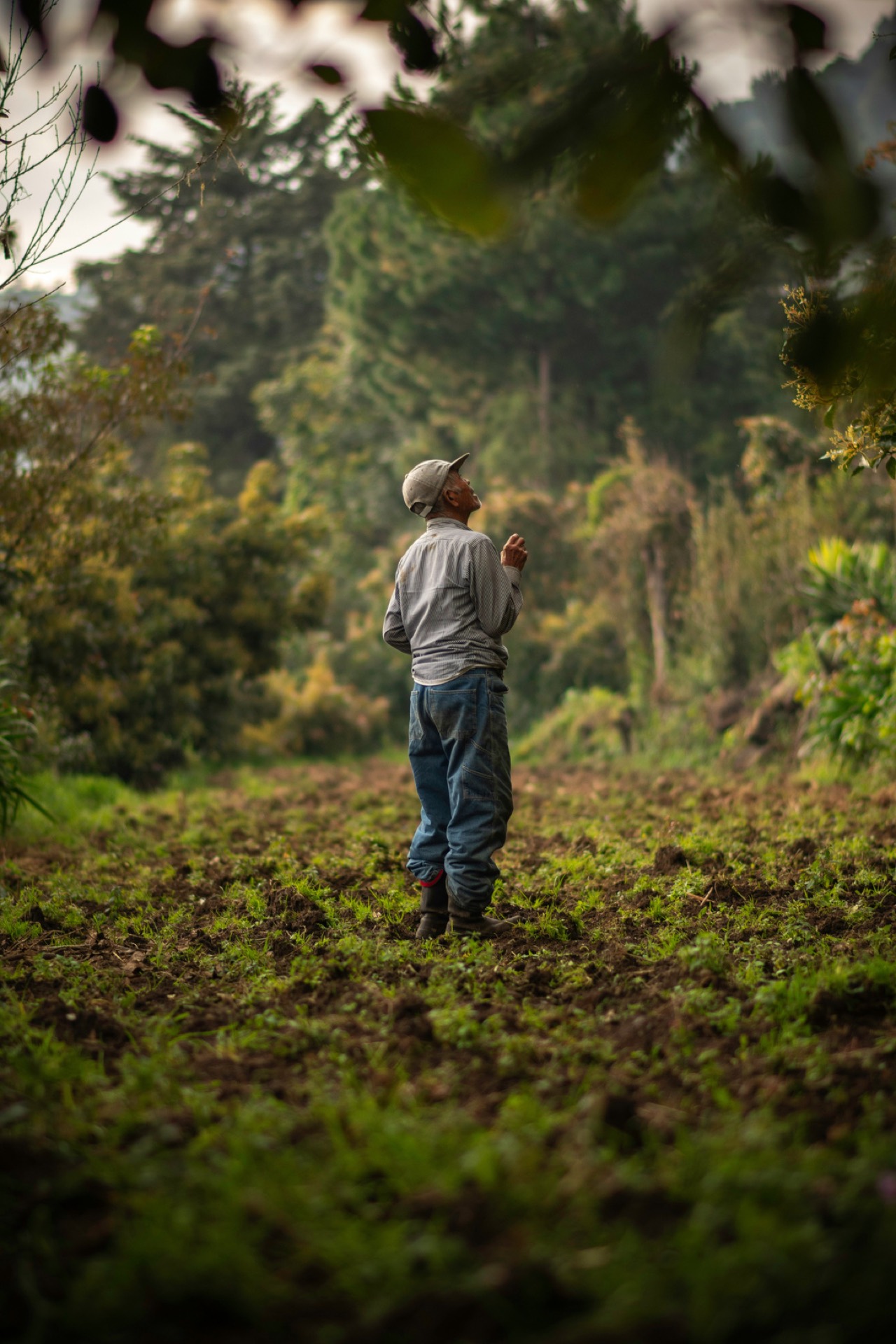 Comprar tierra en Colombia: la verificación jurídica que evita perderlo todo
