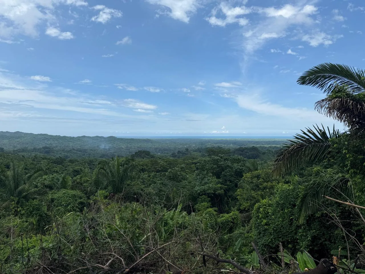 Paisaje de Dibulla, La Guajira